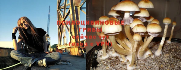 не бодяженный Богданович