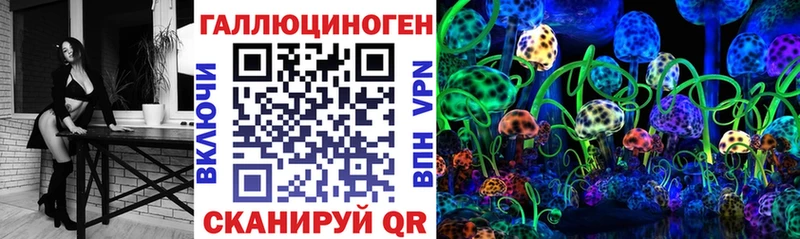 Псилоцибиновые грибы Cubensis  Мегион 